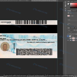 Florida FAKE ID 8