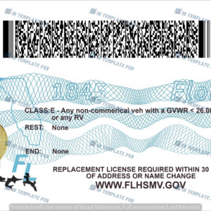 Florida FAKE ID 2