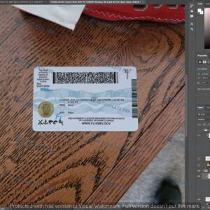 Florida FAKE ID 2